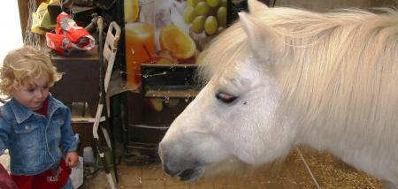 H�! toi le petit bonhomme....tu m'aimes?