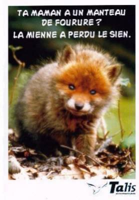 col�re personnelle.....envers les bourreaux