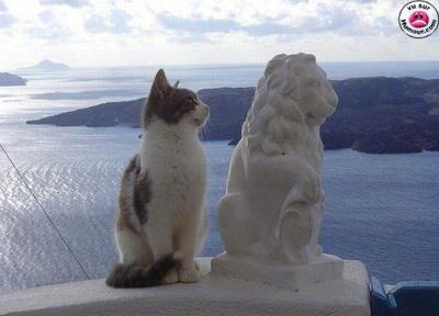 pour FLO-FLO du gard