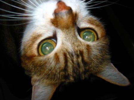 ne touchez � rien, la photo est dans le bon sens!