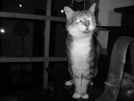 nouvelle d�co d'int�rieur et alarme tr�s sonore!