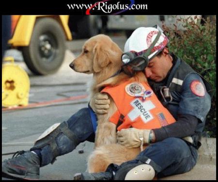 Ch�ri, je demande le m�me chien pour toi au p�re No�l!!