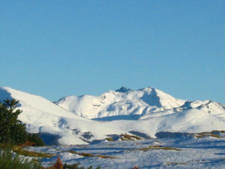 en r�sum�: Prat d'Albis environs 1250M altitude