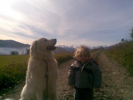 quand Tilouan sera grand, il d�passera le chien........