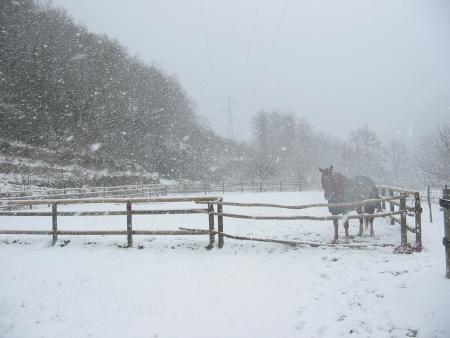 temp�te de neige � Auzat